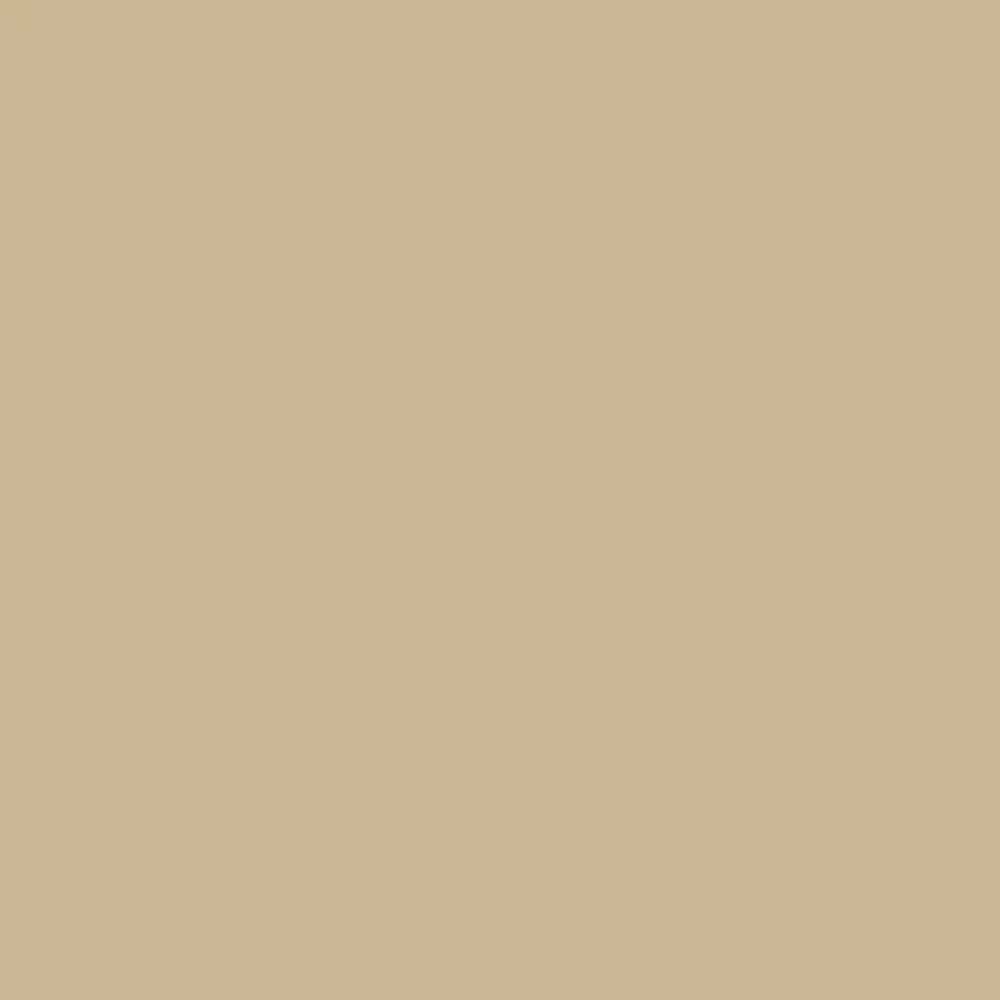 Затирка швів Polimin Fuga Color caramel, карамель (2 кг)