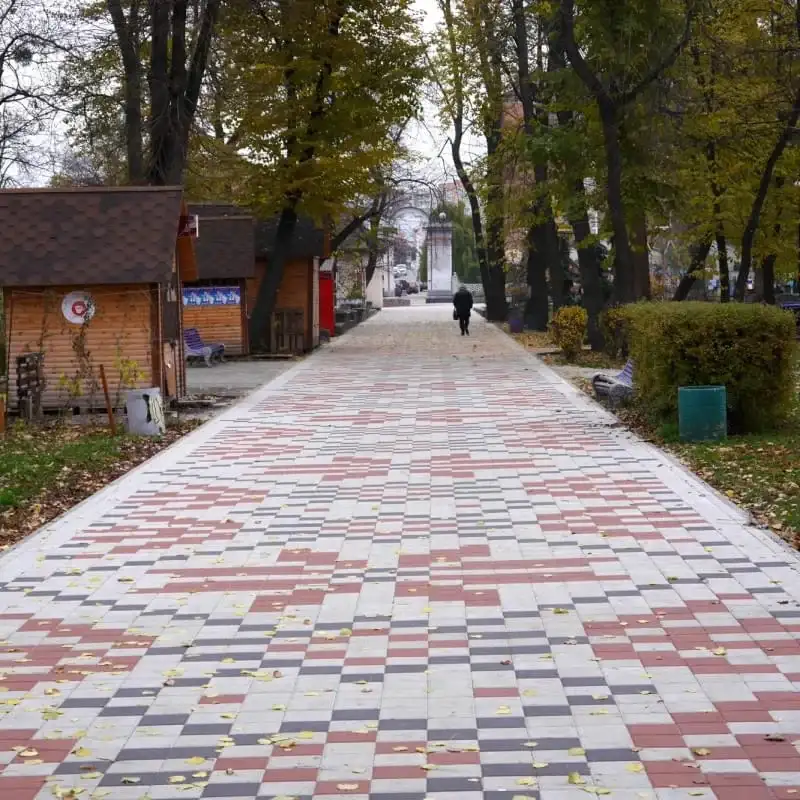 Тротуарна плитка Золотий Мандарин Квадрат 200×200 60 мм чорний (графіт)