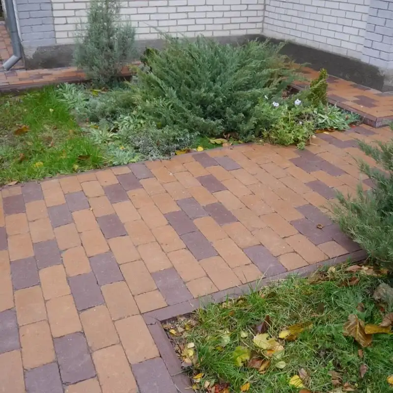 Бруківка Золотий Мандарин Роттердам 250×120 65 мм антик персиковий