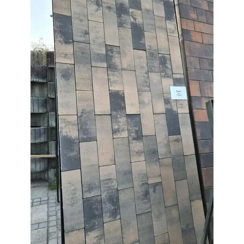 Тротуарна плитка Золотий Мандарин Паркет 450×150 60 мм терамо