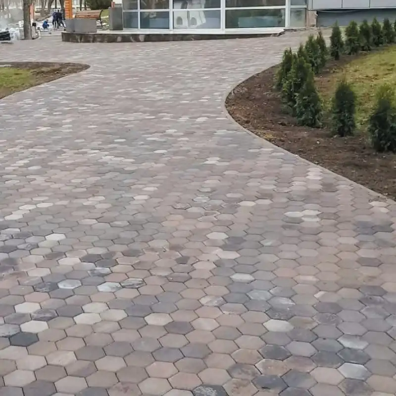 Тротуарна плитка Золотий Мандарин Сота 140×125 60 мм нуоро