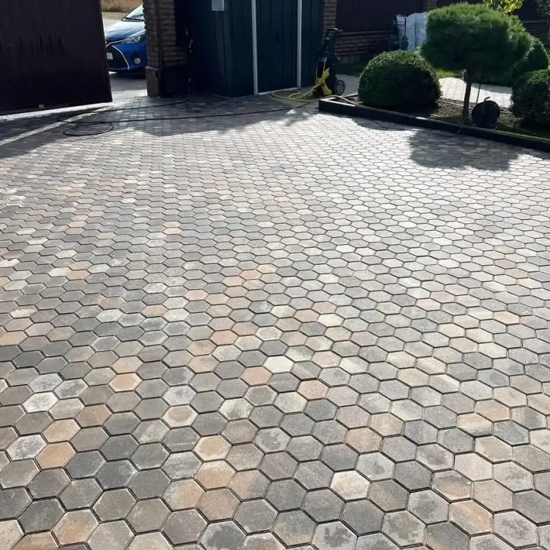 Тротуарна плитка Золотий Мандарин Сота 140×125 60 мм нуоро
