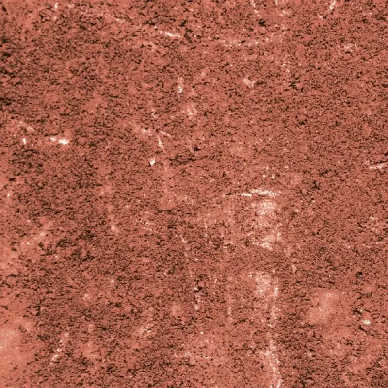 Бруківка Золотий Мандарин Роттердам 250×120 120 мм антик червоний