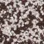 Зразок кольору: SN 208